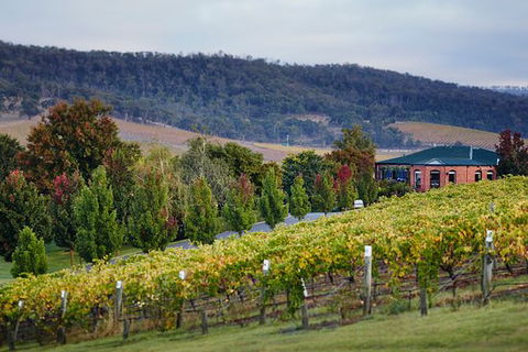 De Bortoli Winery & Restaurant - Broome Tourism 0