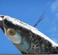 Fish Creek Hotel Motel - Broome Tourism