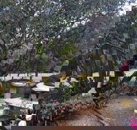 Leonies Little Tree Cafe - Broome Tourism