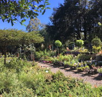 Yatte Yattah Nursery  Cafe - Broome Tourism