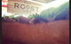 The Roost @ 53 - thumb 9