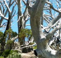 Alpine Eyre - Broome Tourism