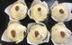 Glennie's Seafood & Burger Shack - thumb 0