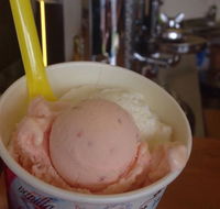 Bermagui Gelati Clinic - Broome Tourism