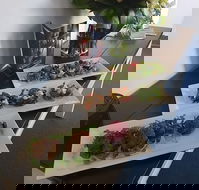 Blue Gum Cafe and Restaurant - Broome Tourism