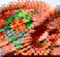 Evans Head Fishermens Co-Op - Broome Tourism