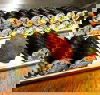 Freewave Sushi  Burgers - Broome Tourism