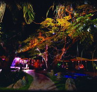 Poinciana - Broome Tourism