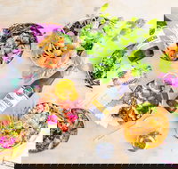 HiPoke Kirra - Broome Tourism