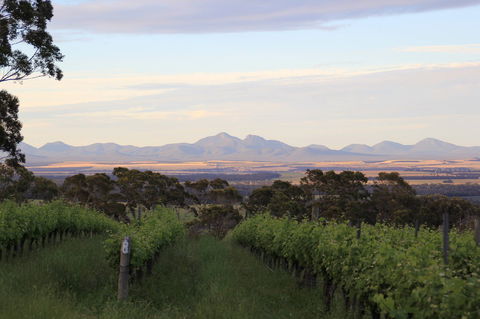 Castle Rock Estate Winery - Broome Tourism 0