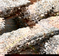 Infinity Bakery - Paddington - Broome Tourism