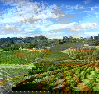 Kellybrook Winery and Kelly Brothers Cider - Broome Tourism