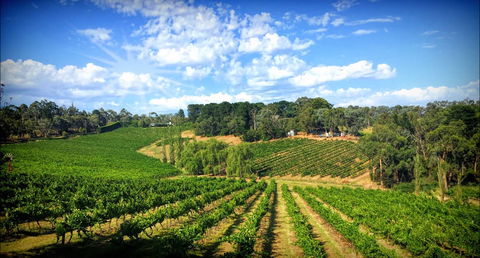 Kellybrook Winery And Kelly Brothers Cider - Broome Tourism 0