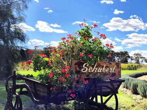Schubert Estate - Broome Tourism 2