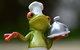 The Lillipad Cafe - thumb 0