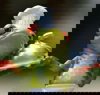 The Lillipad Cafe - Broome Tourism