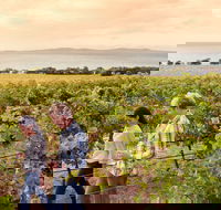 Boston Bay Wines - Broome Tourism