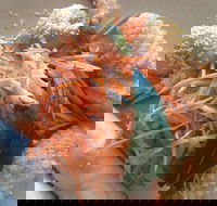 On Shore - Broome Tourism