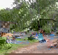 The Pop Inn by Wine Bar Co. - Broome Tourism