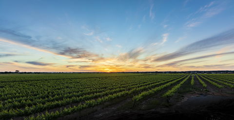 Atze's Corner Wines - Broome Tourism 2