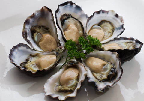 Tathra Oysters - Broome Tourism 0