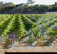 Weathercraft Wines - Broome Tourism