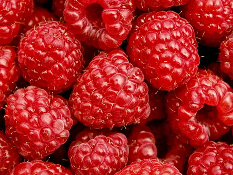 Christmas Hills Raspberry Farm Cafe - Broome Tourism 2