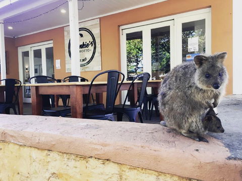 Frankie's On Rotto - Broome Tourism 1