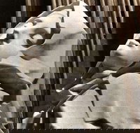 KFC - Joondalup - Broome Tourism