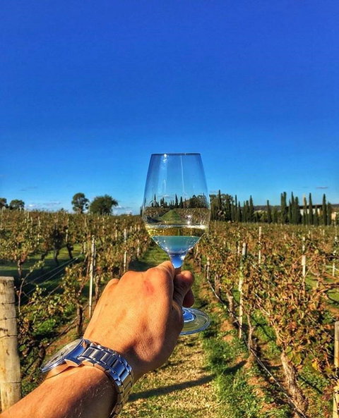 Lake's Folly Vineyard - Broome Tourism 1