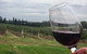 Lake's Folly Vineyard - thumb 2