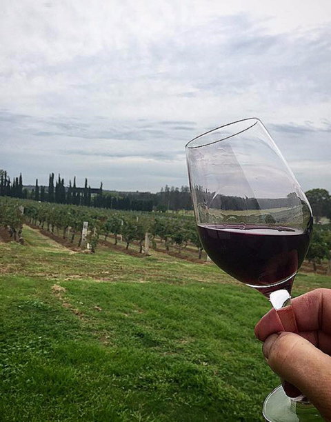 Lake's Folly Vineyard - Broome Tourism 2