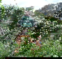 The Cidery - Broome Tourism