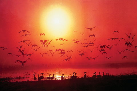 Cool Spot Cafe - Fannie Bay - Broome Tourism 0