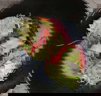 Crowded House - Broome Tourism