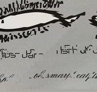 Williamstown Mussels - Broome Tourism