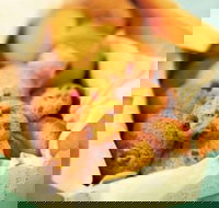 Mrs. Fields - Joondalup - Joondalup - Broome Tourism