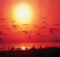 Barra Cafe on Riverview - Broome Tourism