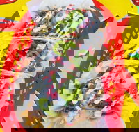 Muchacha - Narrabeen