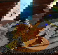 Cocina Mexican Grill and Cantina - Broome Tourism