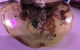 Kokonut Willy's Bar And Grill - thumb 0