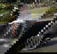 41 Degrees South Tasmania - Broome Tourism