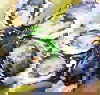 Captain  Co Fish Bar - Broome Tourism