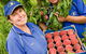 Willayoung Orchard - thumb 0