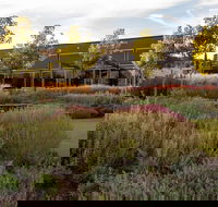 Barossa Valley Estate Cellar Door  Gardens - Broome Tourism