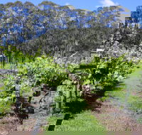 Woongooroo Estate Winery - Broome Tourism