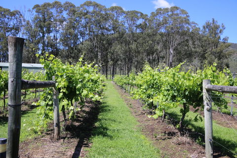 Woongooroo Estate Winery - Broome Tourism 0