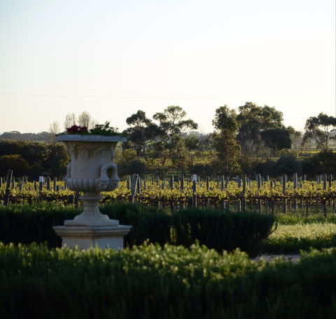 Angas Plains Wines Cellar Door - Broome Tourism 1