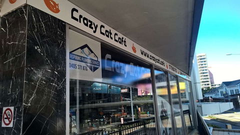 Crazy Cat Cafe - Broome Tourism 0