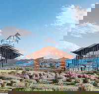 Kooroomba Vineyard and Lavender Farm - Broome Tourism